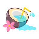 agua de coco icon