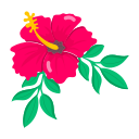 hibisco icon