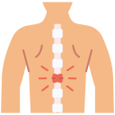 columna vertebral icon