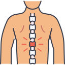 columna vertebral icon