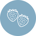 fresas icon