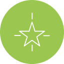 estrella icon