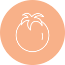 tomate icon