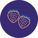 fresas icon