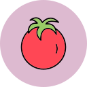 tomate icon