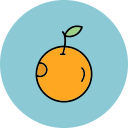 naranja icon