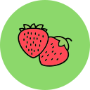 fresas icon