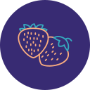 fresas icon