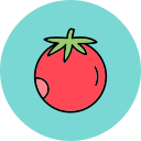 tomate icon