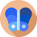 papillon 