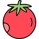 tomates icon