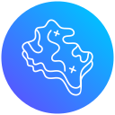 mapa icon