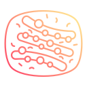 complejo de golgi icon