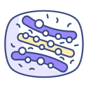 complejo de golgi icon