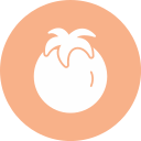 tomate icon