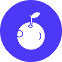 naranja icon