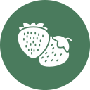 fresas icon