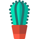 Cactus icon