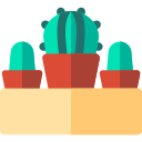 Cactus icon