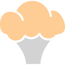 coliflor icon