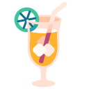 mojito icon