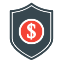 dinero seguro icon