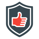 seguridad icon