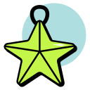 estrella de navidad icon