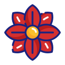 flor de pascua icon