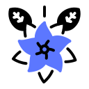 flor de pascua icon