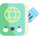 pasaporte icon