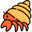 Hermit crab 