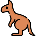 Кенгуру icon