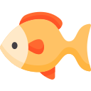 Pescado 