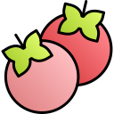 tomate icon