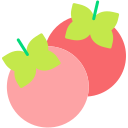 tomate icon