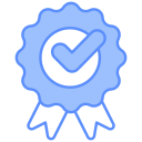 validez icon