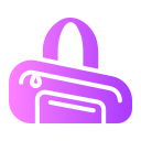 bolsa icon