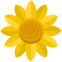 girasol icon