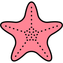 estrella de mar icon