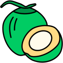 coco icon