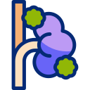 insuficiencia renal icon