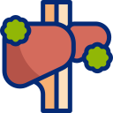 cirrosis icon