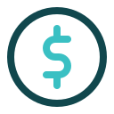 dólar icon