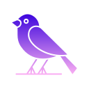 pájaro icon