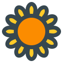 girasol icon