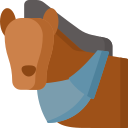 Caballo icon