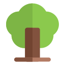 Árbol icon