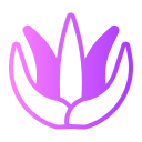 aloe vera icon