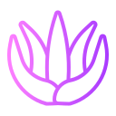 aloe vera icon